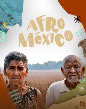 POSTER_AFROMEXICO